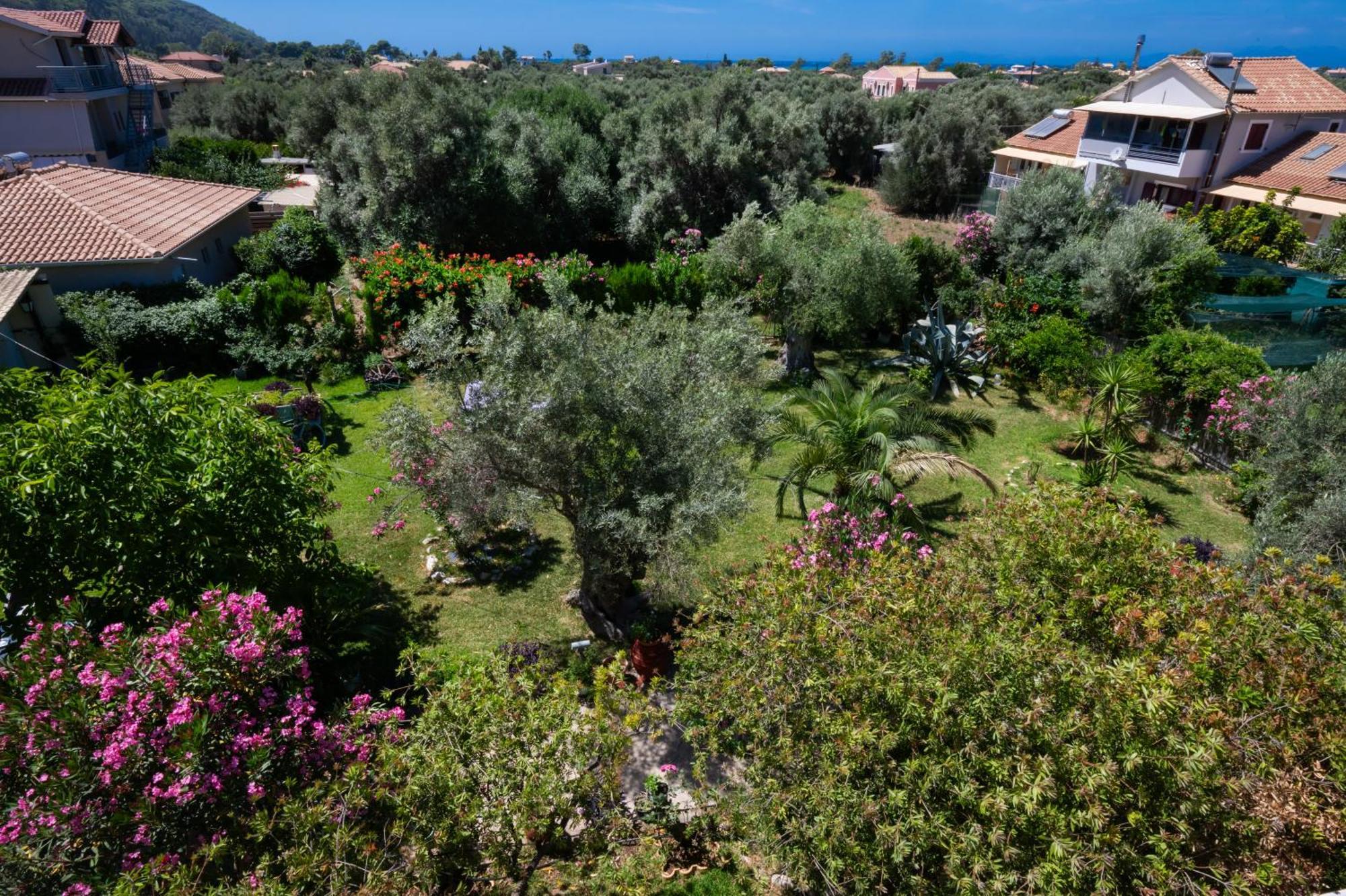 Villa Fenia Lefkáda Extérieur photo